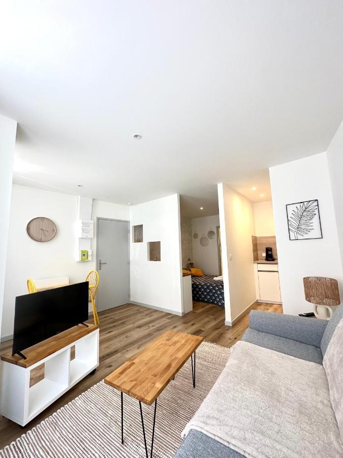 Bel Appartement En Plein Centre Ville Limoges Kültér fotó